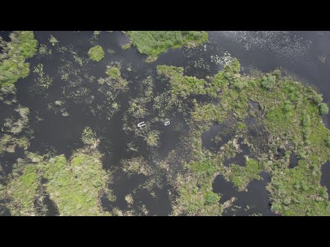 Видео: Подводная охота в прозрачном озере с высоты птичьего полёта.