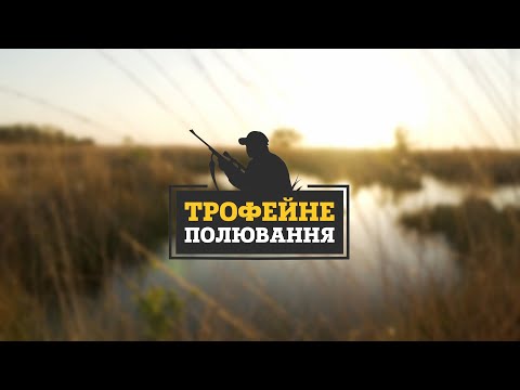 Видео: Відкриття полювання на фазана, Миколаївська область, 2024 р. ▶ Трофейне Полювання №89 ▶ Трофей