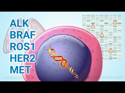 Видео: Понимание методов лечения НМРЛ при менее распространенных мутациях: ALK, BRAF, ROS1, HER2, MET