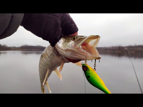 Видео: Этот воблер косит щуку после двух месяцев под водой! Речка Вир!