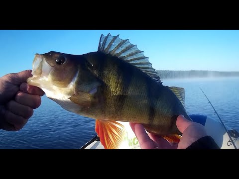 Видео: Осенний сезон🔥Открыт🤩День первый✔