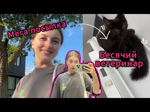 Видео: Vlog: Бесячий ветеринар \ МЕГА ПОСЫЛКА 📦