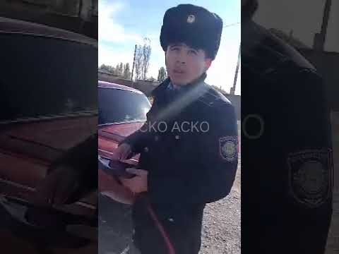 Видео: АСКО АСКО Шолаққорған полицейі или усб мен өз халқын қорқытатын жиеркеншек қызметкерлері, Қ Дәлбеков