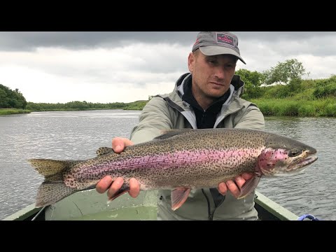 Видео: Камчатка 2022 , ловим Гольца и Микижу .