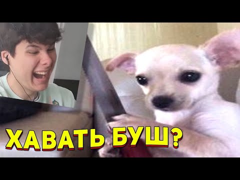 Видео: 8 МИНУТ СМЕХА | ЛУЧШИЕ ПРИКОЛЫ АВГУСТ 2021 ПОПРОБУЙ ЗАСМЕЯТЬСЯ ЧЕЛЛЕНДЖ ЗАСМЕЯЛСЯ ПРОИГРАЛ