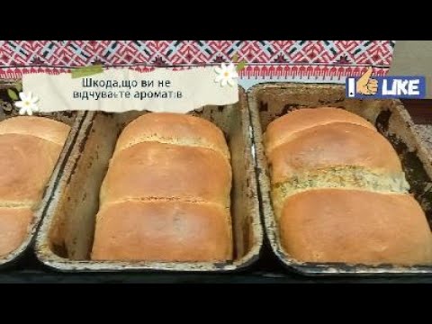 Видео: Книші з кропом