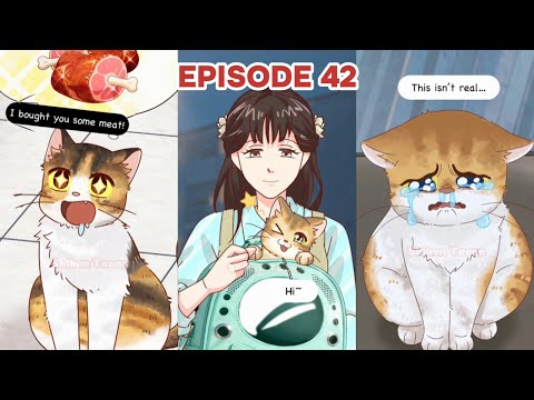 Видео: Смешные и целебные истории о кошках и собаках — анимация и реальная жизнь, эпизод 42