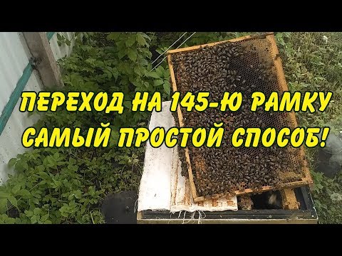 Видео: пчеловодство. переход на 145 рамку самый простой способ