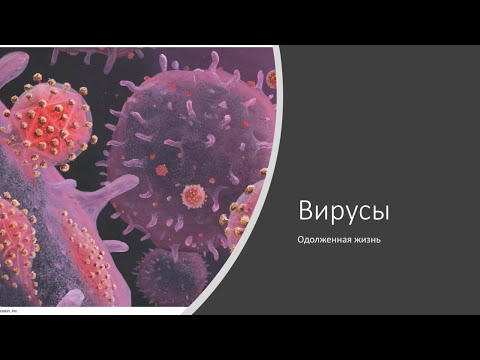 Видео: Вирусы