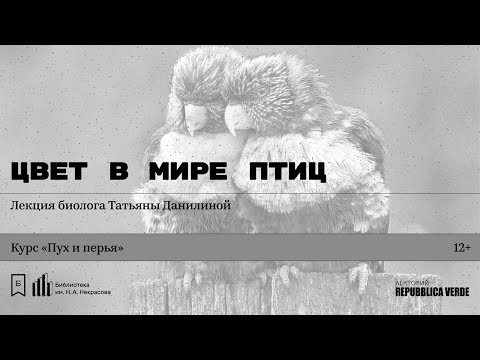 Видео: «Цвет в мире птиц». Лекция биолога Татьяны Данилиной