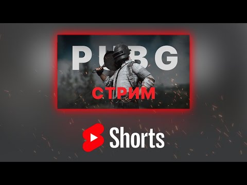 Видео: SHORTS || Надеемся что работает  #pubg #пубг #stream #nemixxx