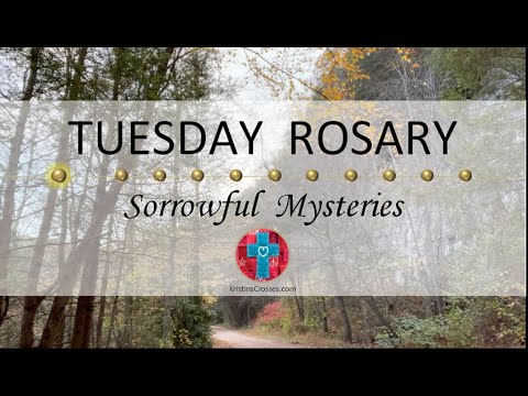 Видео: Вторник Розария • Скорбные тайны Розария 💜 11 ноября 2025 г. — Доступно на нескольких языках