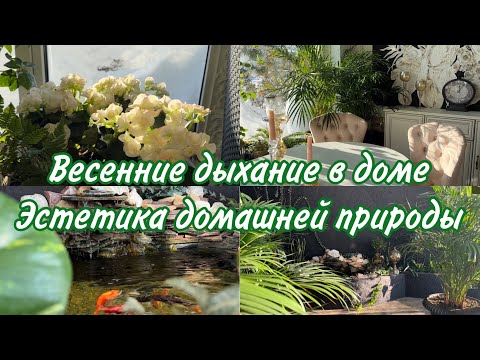 Видео: Генеральная уборка в зимнем саду. Дыхание весны в доме .