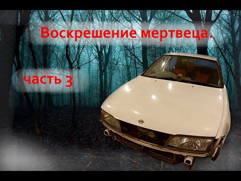 Видео: Воскрешение мертвеца часть 3