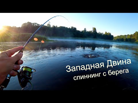 Видео: Спиннинг с берега на Западной Двине. Голавль и Жерех