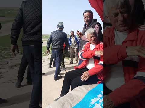 Видео: бегназар наврузи