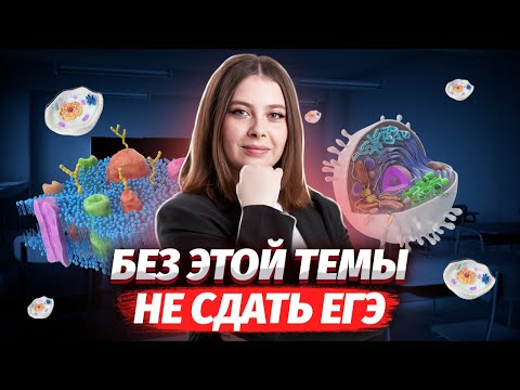 Видео: Всё о химическом строении клетки за 70 минут | Биология ЕГЭ для 10 класса | Умскул