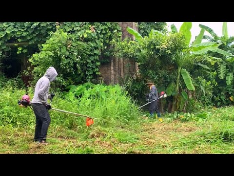 Видео: Откройте для себя таинственный старинный архитектурный дом, покрытый травой, и его трансформацию