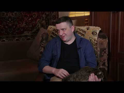 Видео: Дворовые кошки