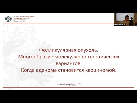 Видео: Фолликулярная опухоль. Многообразие молекулярно-генетических вариантов.