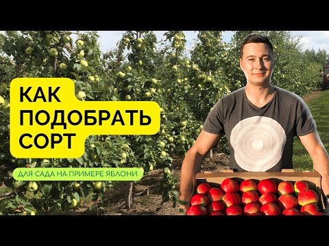 Видео: Как подобрать сорта для сада ? На примере яблони. Часть 1.