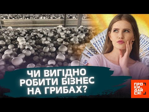 Видео: ДО УВАГИ кожного! Як ВІДКРИТИ бізнес на ВИРОЩУВАННІ грибів та СКІЛЬКИ можна ЗАРОБИТИ на цьому?