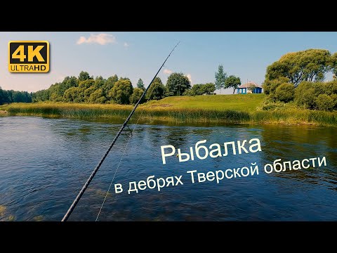 Видео: Рыбалка на малой реке в дебрях Тверской области. Август 2022