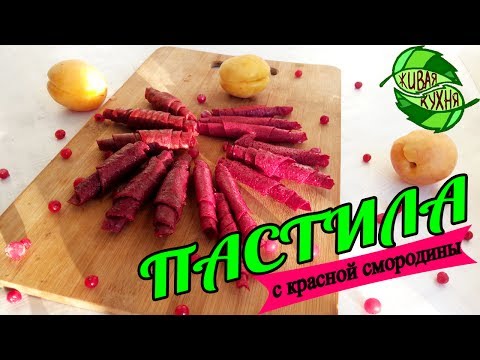 Видео: ✔ПАСТИЛА ИЗ КРАСНОЙ СМОРОДИНЫ 😋🍒👌 4 ВИДА! RAW