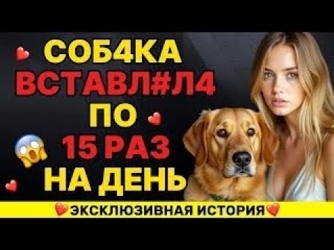 Видео: Муж не справлявся, но ПЁС нашёл подход.
