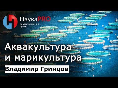 Видео: Аквакультура и марикультура – биолог Владимир Гринцов | Научпоп | Лекции по биологии