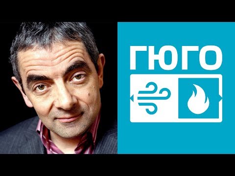 Видео: Гюго. Энтузиаст. ЭСЭ. ESFJ. Воздух-Огонь. Cоционика