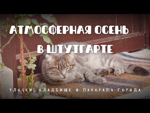 Видео: Атмосферная осень в Штутгарте: улочки, кладбище и панорама города.
