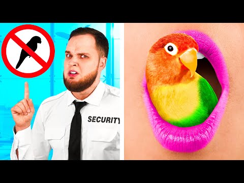 Видео: Как Пронести Домашних Животных в Самолёт | Смешные Cитуации от PaRaRa Challenge