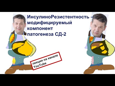 Видео: "Инсулинорезистентность – модифицируемый компонент патогенеза СД-2"