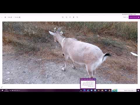 Видео: 1492. Почему в Израиле квартиры настолько дорогие? Говорим на лёгком иврите. Кто это ИНТЕРЕСАНТ?