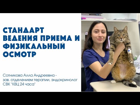 Видео: Стандарт ведения приема и физикальный осмотр