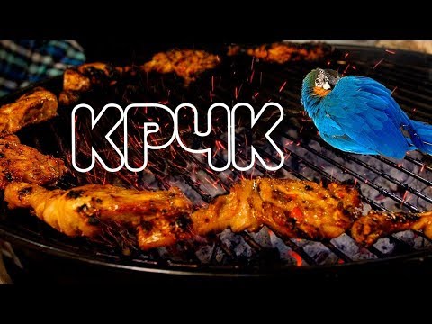 Видео: ПОПУГАЙ и бедра КУРОЧКИ на гриле! #СлавноеБали
