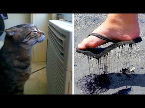 Видео: Лето без этого – не лето яркие события жарких дне