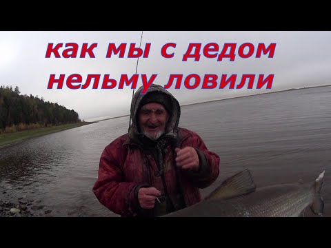 Видео: Ирония судьбы или как мы с дедом нельму ловили!!!