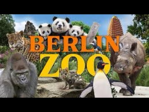 Видео: Визит в Берлинский зоопарк