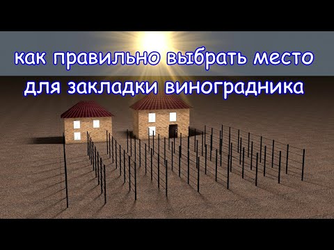 Видео: Как правильно выбрать место для закладки виноградника.