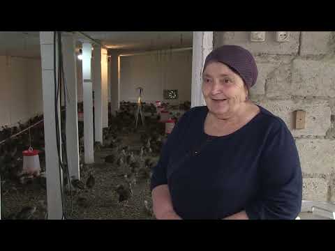 Видео: Вай боахам 15,05,24 автор Холохоева Пятимат