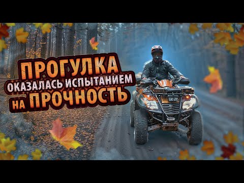 Видео: На пневмоходе за клюквой.