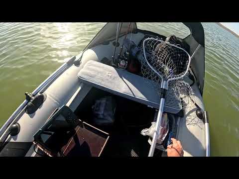 Видео: 28 сентября 2025 г.