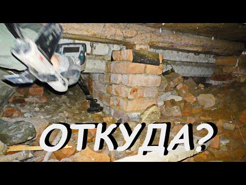 Видео: Откуда это под полом?