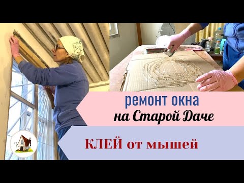 Видео: Ремонт окна на Старой Даче. Клей от мышей действует.