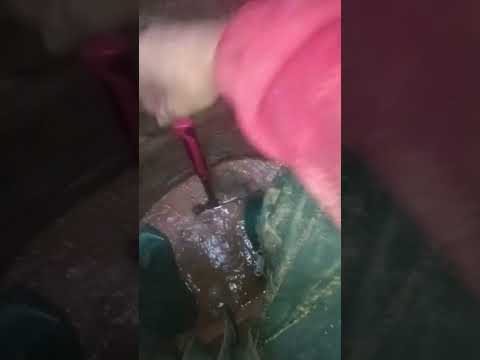 Видео: Чистене на кладенец