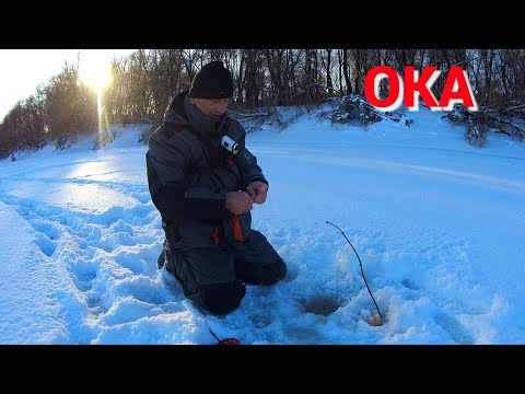 Видео: ВЕРТОЛЁТ и ДОНКА. СНАСТИ ДЛЯ ТЕЧЕНИЯ.  Рыбалка на ОКЕ в феврале.