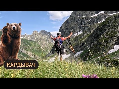 Видео: Озеро Верхний Кардывач / Долгожданная встреча с медведем