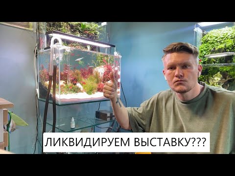 Видео: Разбираем выставку? Закрываем офис АКВАРИУМПЕРМЬ.РФ ? Приводим галерею в порядок.